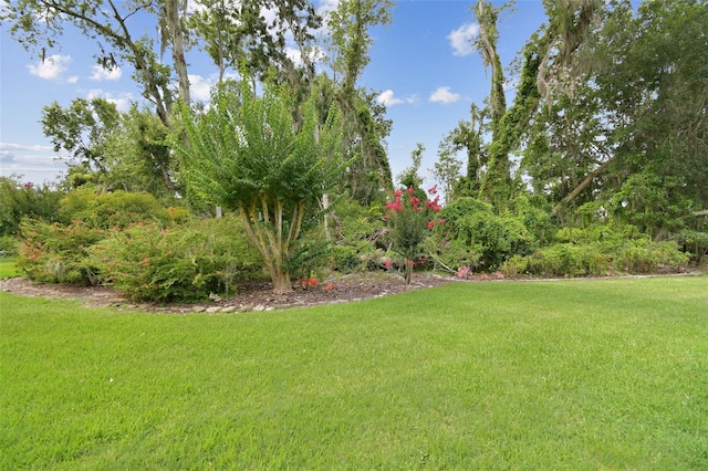 2103 N Golfview Dr, Plant City, FL 33566 - view of green lawn