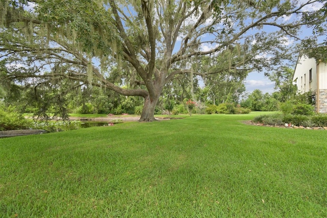 2103 N Golfview Dr, Plant City, FL 33566 - view of green lawn featuring a water view