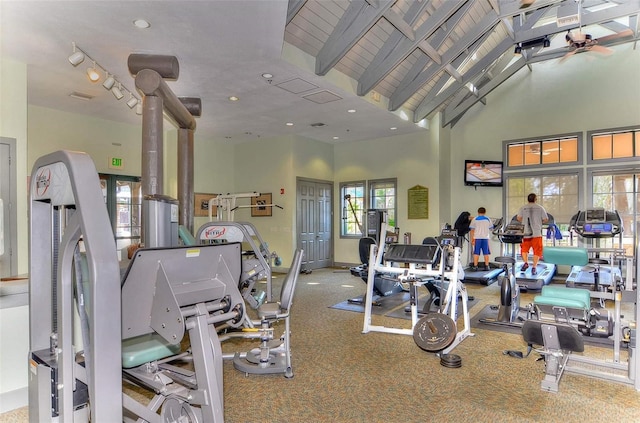 7010 Kendall Heath Way, Land O Lakes, FL 34637 - gym featuring carpet flooring and a towering ceiling