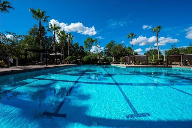 7010 Kendall Heath Way, Land O Lakes, FL 34637 - community pool with a pergola