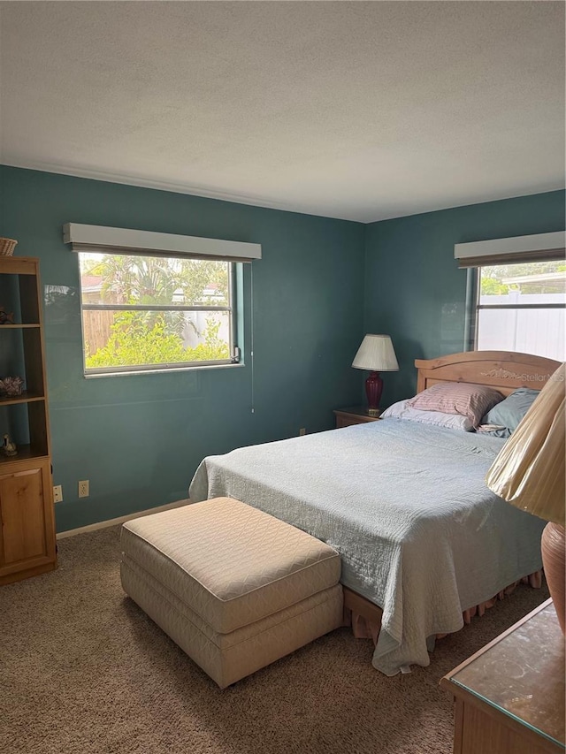 10185 Santiago Ct, Seminole, FL 33776 - carpeted bedroom featuring multiple windows