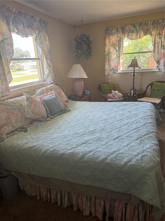 10185 Santiago Ct, Seminole, FL 33776 - bedroom featuring multiple windows and carpet floors