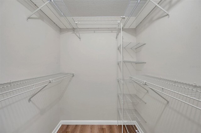 734 Flamingo Dr, Apollo Beach, FL 33572 - walk in closet featuring wood finished floors