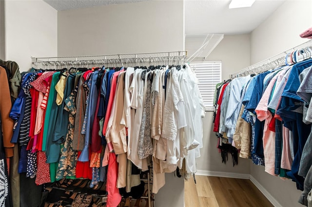17509 Queensland St, Land O Lakes, FL 34638 - spacious closet featuring wood finished floors