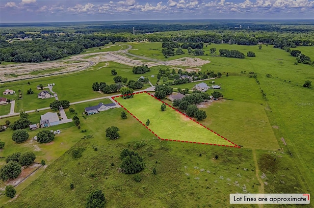 16171 NW 243rd Way, High Springs, FL 32643 - photo 4