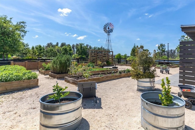 12382 Tibbetts St, Odessa, FL 33556 - view of patio / terrace featuring a vegetable garden