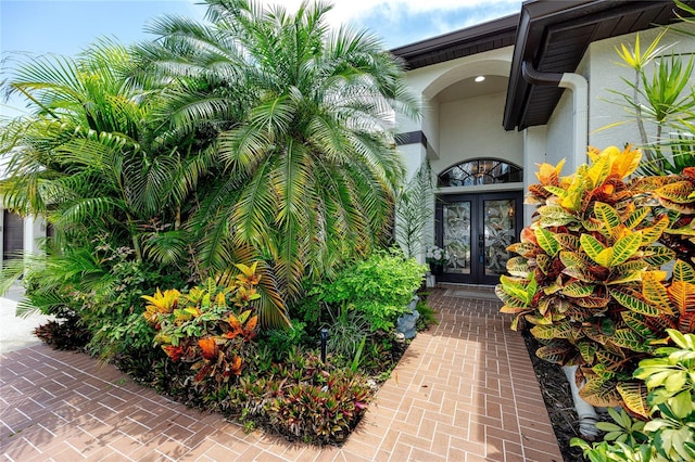 335 Palmdale Dr, Oldsmar, FL 34677 - photo 11