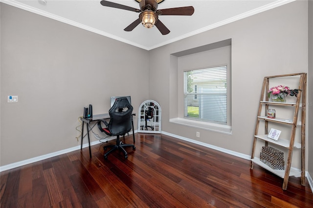 335 Palmdale Dr, Oldsmar, FL 34677 - photo 44
