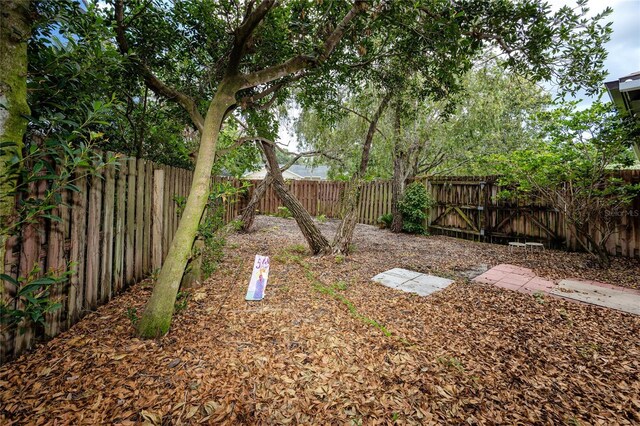 335 Palmdale Dr, Oldsmar, FL 34677 - photo 58