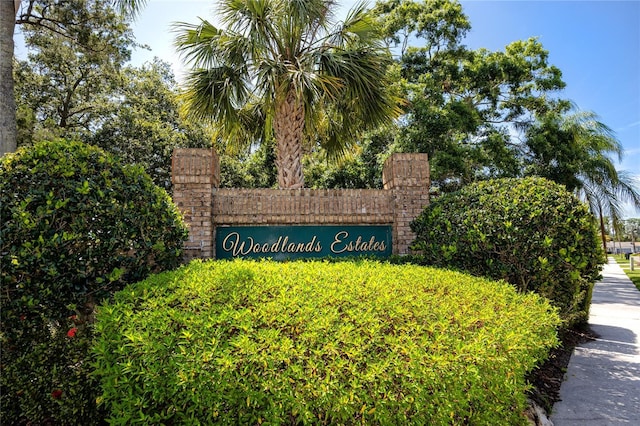 335 Palmdale Dr, Oldsmar, FL 34677 - photo 65