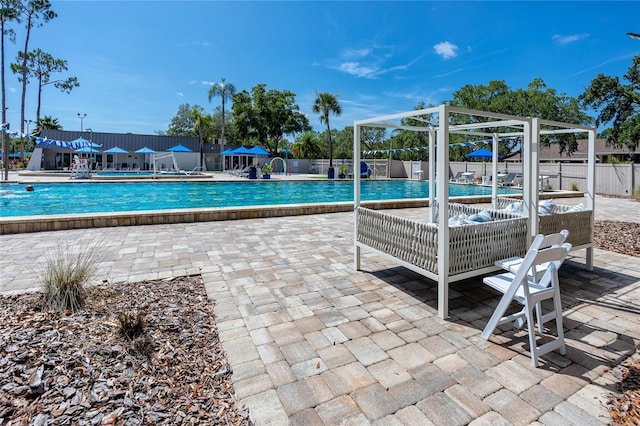 335 Palmdale Dr, Oldsmar, FL 34677 - photo 72