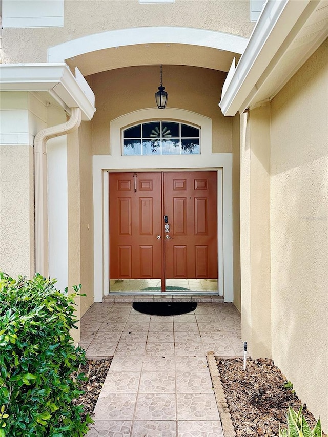19743 Ellendale Dr, Land O Lakes, FL 34638 - entrance to property with stucco siding
