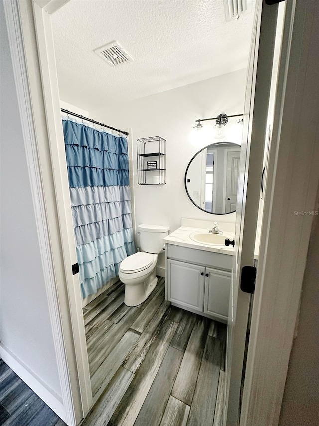 19743 Ellendale Dr, Land O Lakes, FL 34638 - bathroom featuring wood finished floors, vanity, a textured ceiling, and a shower with curtain