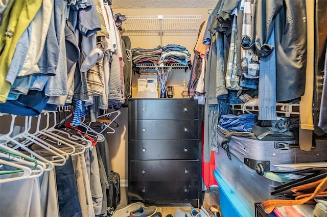 1304 Cedar Ct, Tarpon Springs, FL 34689 - view of spacious closet