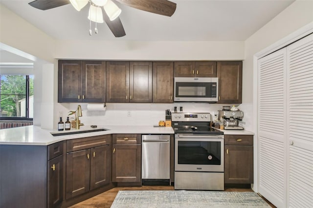 4114 Pinelake Ln Unit 202, Tampa, FL 33618 - kitchen featuring stainless steel appliances, light countertops, ceiling fan, dark brown cabinetry, and light wood finished floors