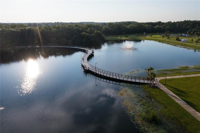 4114 Pinelake Ln Unit 202, Tampa, FL 33618 - water view with a heavily wooded area