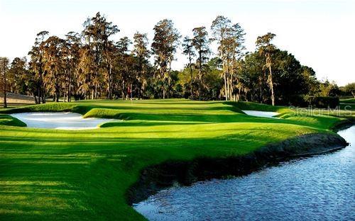 4114 Pinelake Ln Unit 202, Tampa, FL 33618 - view of property's community with view of scattered trees, golf course view, a water view, and a yard