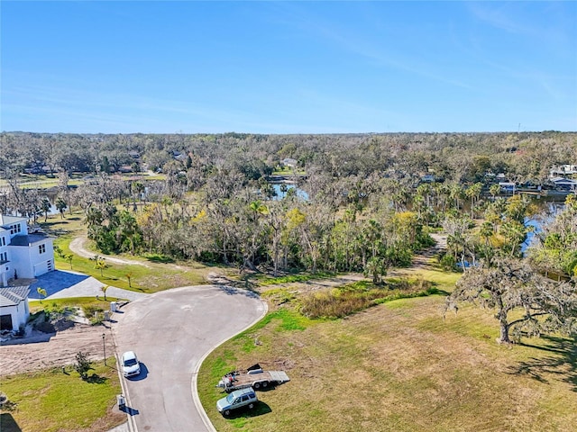 8331 Alafia Pointe Dr, Riverview, FL 33578