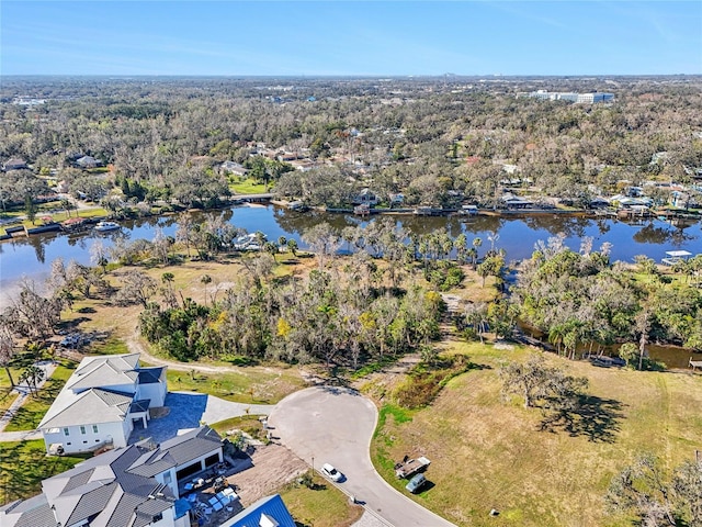 8331 Alafia Pointe Dr, Riverview, FL 33578