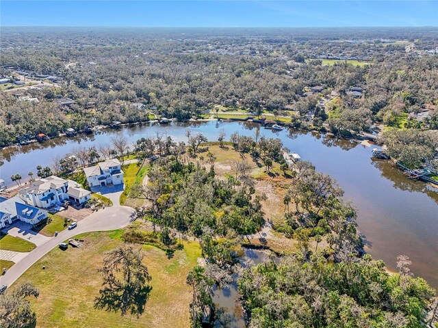 8331 Alafia Pointe Dr, Riverview, FL 33578