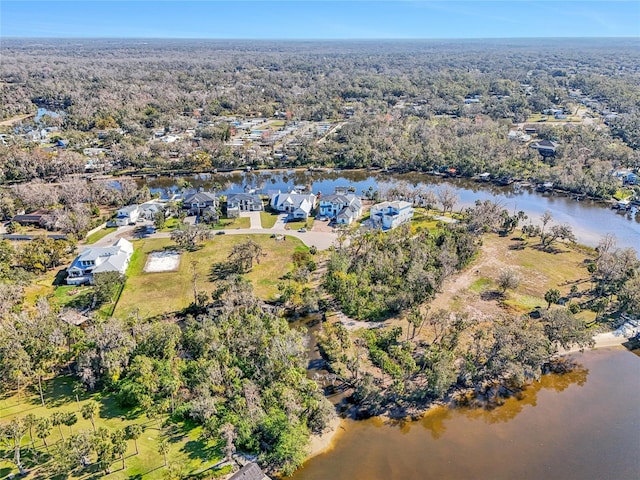 8331 Alafia Pointe Dr, Riverview, FL 33578