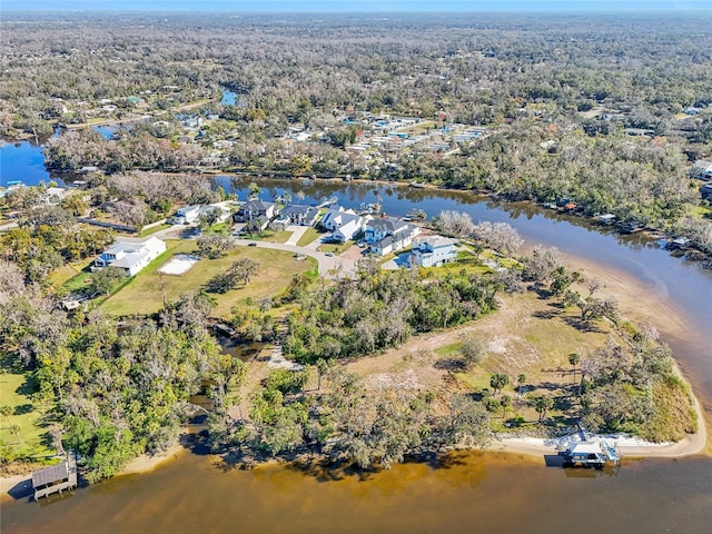 8331 Alafia Pointe Dr, Riverview, FL 33578