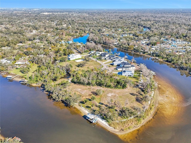 8331 Alafia Pointe Dr, Riverview, FL 33578