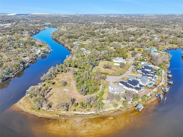 8331 Alafia Pointe Dr, Riverview, FL 33578