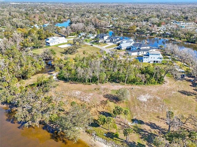 8331 Alafia Pointe Dr, Riverview, FL 33578