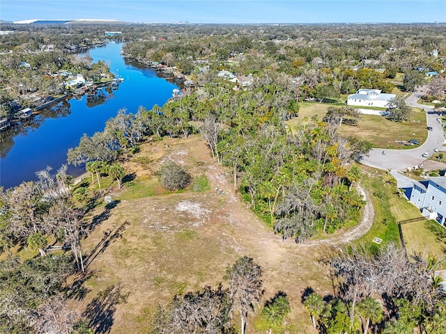 8331 Alafia Pointe Dr, Riverview, FL 33578