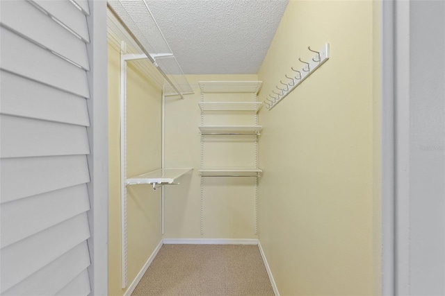 700 Beach Dr NE Unit 606, Saint Petersburg, FL 33701 - spacious closet with carpet floors