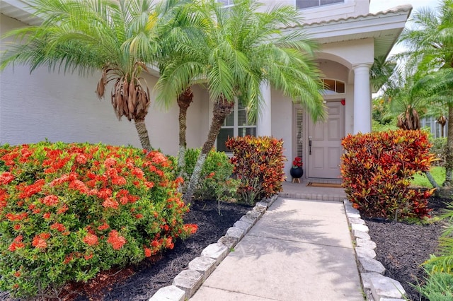 2228 Hannah Way S, Dunedin, FL 34698 - doorway to property with stucco siding
