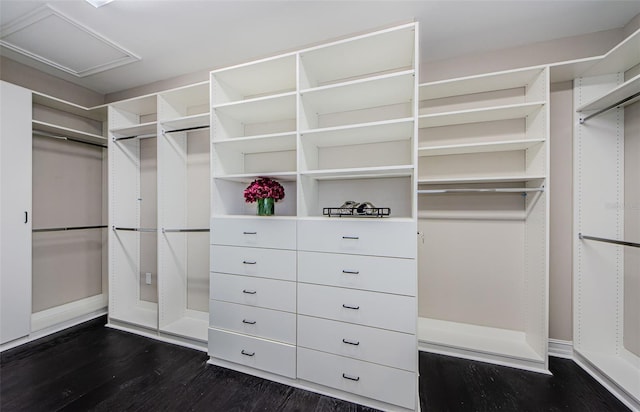 29038 Picana Ln, Wesley Chapel, FL 33543 - spacious closet featuring dark wood-style floors and attic access