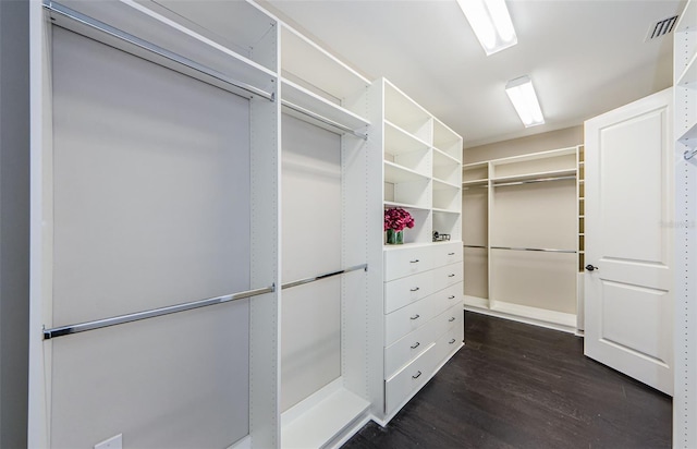 29038 Picana Ln, Wesley Chapel, FL 33543 - spacious closet featuring dark wood-style floors