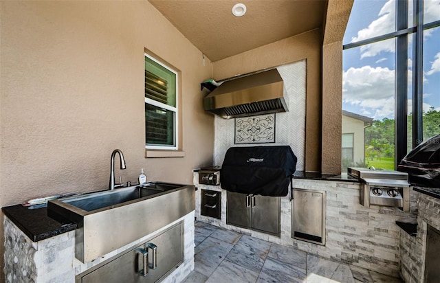 29038 Picana Ln, Wesley Chapel, FL 33543 - view of patio / terrace featuring area for grilling and a sink
