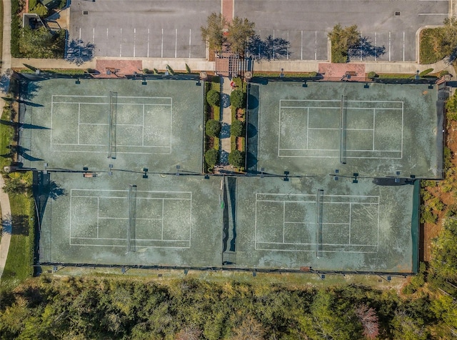 29038 Picana Ln, Wesley Chapel, FL 33543 - bird's eye view