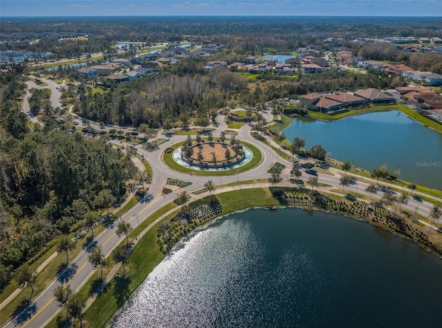 29038 Picana Ln, Wesley Chapel, FL 33543 - aerial view of property's location with a large body of water and nearby suburban area