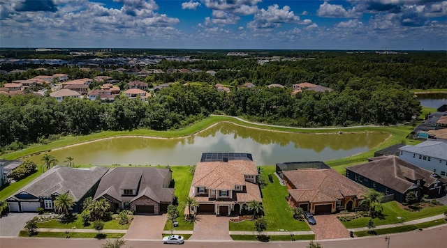 29038 Picana Ln, Wesley Chapel, FL 33543 - aerial perspective of suburban area with a large body of water