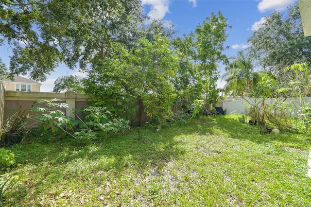 9329 Wellstone Dr, Land O Lakes, FL 34638 - photo 33