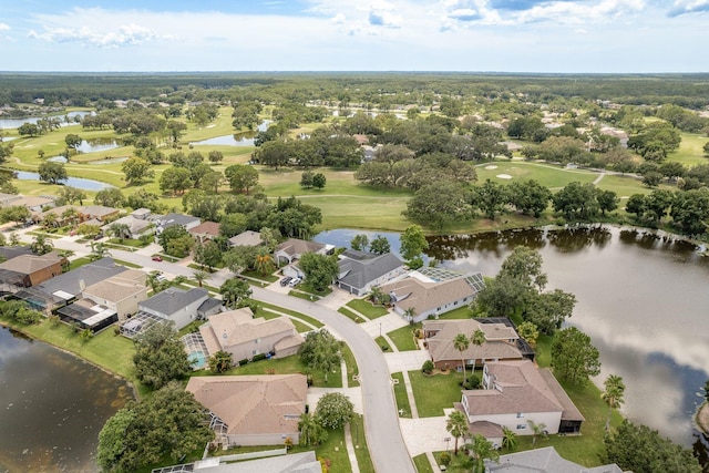 16226 Carnoustie Dr, Odessa, FL 33556 - photo 55