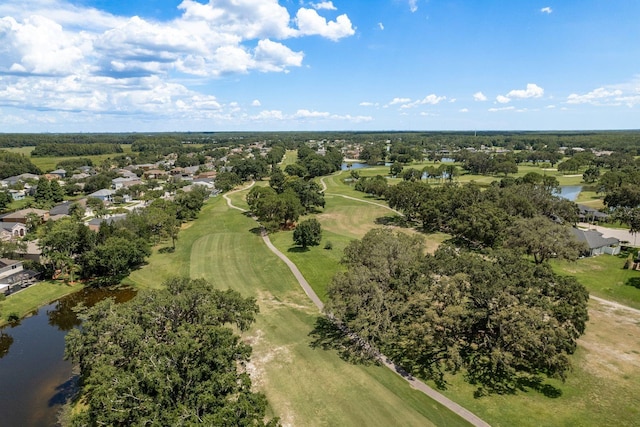 16226 Carnoustie Dr, Odessa, FL 33556 - photo 64