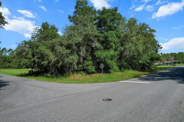 9440 N Caressa Way, Citrus Springs, FL 34434 - photo 4