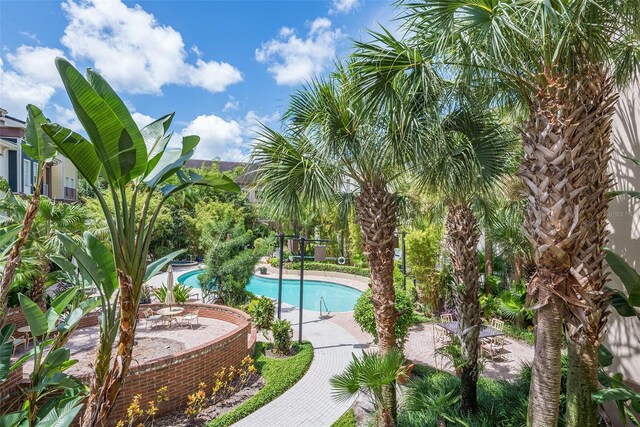 504 S Armenia Ave Unit 1329B, Tampa, FL 33609 - photo 28