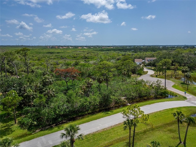 Strathmore Ave, Oldsmar, FL 34677