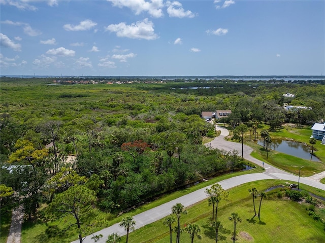 Strathmore Ave, Oldsmar, FL 34677