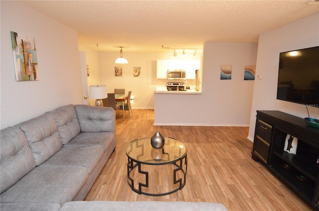 10265 Gandy Blvd N Unit 1409, Saint Petersburg, FL 33702 - living area featuring light wood-style floors and a textured ceiling