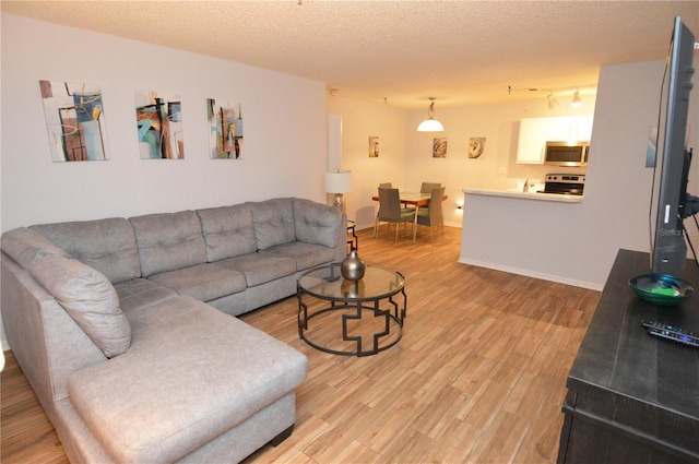 10265 Gandy Blvd N Unit 1409, Saint Petersburg, FL 33702 - living room with light wood-type flooring and a textured ceiling