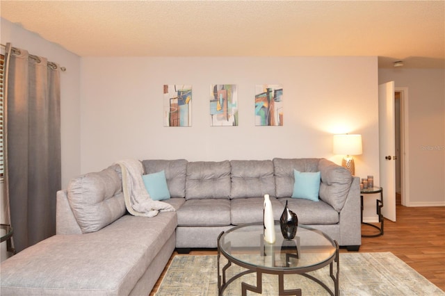 10265 Gandy Blvd N Unit 1409, Saint Petersburg, FL 33702 - living room with wood finished floors