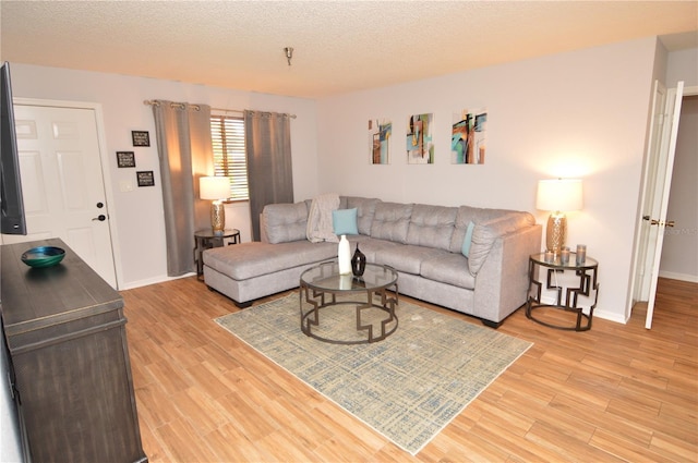 10265 Gandy Blvd N Unit 1409, Saint Petersburg, FL 33702 - living area featuring light wood-type flooring and a textured ceiling