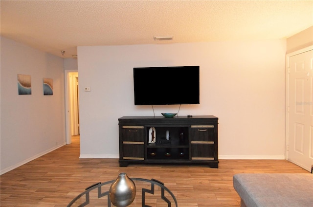 10265 Gandy Blvd N Unit 1409, Saint Petersburg, FL 33702 - living room with wood finished floors and a textured ceiling